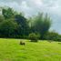  Villa zu verkaufen in Chone, Manabi, Chone, Chone