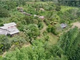  Land for sale in Pacto, Quito, Pacto