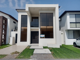 3 Bedroom House for sale in Samborondon, Guayas, Samborondon, Samborondon