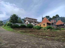  Land for sale in Batu, Malang Regency, Batu