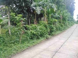  Land for sale in Lipa City, Batangas, Lipa City