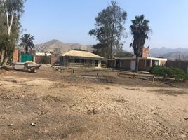  Terreno (Parcela) en venta en Chilca, Cañete, Chilca