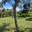 Terrain à vendre à Rionegro, Antioquia, Rionegro, Antioquia
