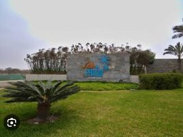  Terreno (Parcela) en venta en Asia, Lima, Asia