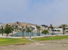  Land for sale in Mala, Lima, Mala