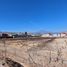  Land for sale in Ocoyucan, Puebla, Ocoyucan