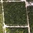  Terreno (Parcela) en venta en Cozumel, Quintana Roo, Cozumel, Quintana Roo