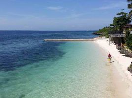  Land for sale in Central Visayas, Lapu-Lapu City, Cebu, Central Visayas