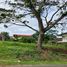  Land for sale in Tanauan City, Batangas, Tanauan City