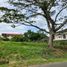  Land for sale in Tanauan City, Batangas, Tanauan City