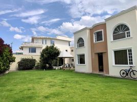 4 Schlafzimmer Haus zu verkaufen in Ibarra, Imbabura, San Miguel De Ibarra, Ibarra