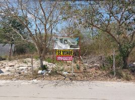 Terreno (Parcela) en venta en Merida, Yucatán, Merida, Yucatán
