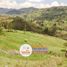  Land for sale in Paute, Azuay, Paute, Paute