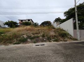  Land for sale in San Vicente, Manabi, San Vicente, San Vicente