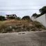  Land for sale in San Vicente Manabi, San Vicente, San Vicente