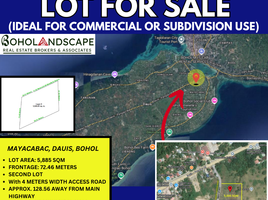  Land for sale in Bohol, Central Visayas, Dauis, Bohol