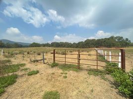  Land for sale in Zapopan, Jalisco, Zapopan