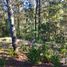  Land for sale in Mineral Del Chico, Hidalgo, Mineral Del Chico