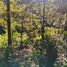  Land for sale in Mineral Del Chico, Hidalgo, Mineral Del Chico