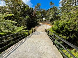  Terrain for sale in Medellin, Antioquia, Medellin