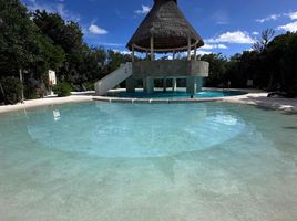  Grundstück zu verkaufen in Puerto Morelos, Quintana Roo, Puerto Morelos