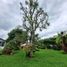 3 Habitación Casa en venta en Armenia, Quindio, Armenia