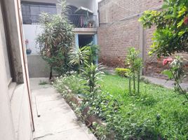  Terreno (Parcela) en venta en Lurigancho, Lima, Lurigancho