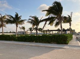  Grundstück zu verkaufen in Progreso, Yucatan, Progreso