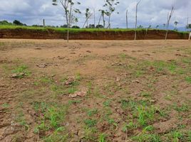  Terreno (Parcela) en venta en Alcala, Valle Del Cauca, Alcala