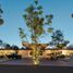  Land for sale in Cozumel, Quintana Roo, Cozumel