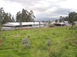  Terreno (Parcela) en venta en Ricaurte, Cuenca, Ricaurte