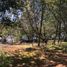  Terreno (Parcela) en venta en Chile, Pitrufquen, Cautín, Araucanía, Chile