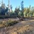  Terreno (Parcela) en venta en Maule, Linares, Linares, Maule