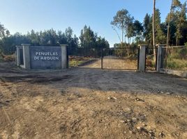  Terreno (Parcela) en venta en Maule, Linares, Linares, Maule