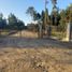  Terreno (Parcela) en venta en Maule, Linares, Linares, Maule