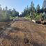  Terreno (Parcela) en venta en Maule, Linares, Linares, Maule