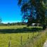  Terreno (Parcela) en venta en Chile, Entre Lagos, Osorno, Los Lagos, Chile