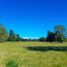 Terreno (Parcela) en venta en Chile, Entre Lagos, Osorno, Los Lagos, Chile