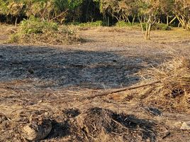  Terreno (Parcela) en venta en Medellin, Veracruz, Medellin, Veracruz