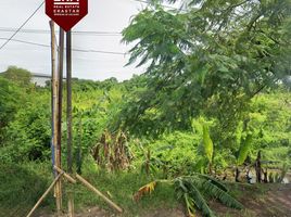  Terreno (Parcela) en venta en Lemahabang, West Jawa, Lemahabang, Bekasi, West Jawa