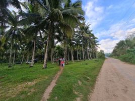  Terrain for sale in Davao del Norte, Davao, Island Garden Samal City, Davao del Norte