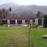 6 Bedroom House for sale in Lima Lima, Lurigancho