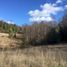 Terreno (Parcela) en venta en Araucanía, Pucón, Cautín, Araucanía