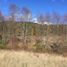  Terreno (Parcela) en venta en Araucanía, Pucón, Cautín, Araucanía