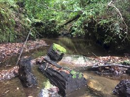  Terreno (Parcela) en venta en Araucanía, Pucón, Cautín, Araucanía