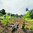  Land for sale in Cibinong, Bogor, Cibinong