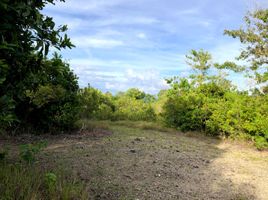  Land for sale in Bohol, Central Visayas, Alburquerque, Bohol