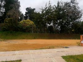 Terrain à vendre à Rionegro, Antioquia, Rionegro