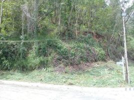  Land for sale in Rizal, Calabarzon, Antipolo City, Rizal