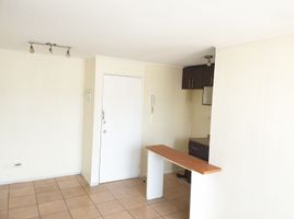 3 Habitación Apartamento en venta en Santiago, Santiago, Santiago, Santiago